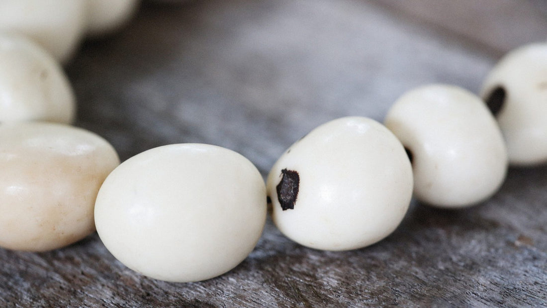 Gros plan sur de gros grains blanc d'os mats enfiles, poses sur une planche de bois grise